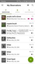 inaturalist v2.8.7 安卓版 截图