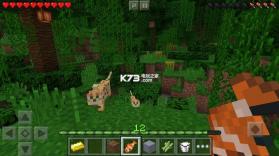 minecraft v1.21.60.21 外国版 截图