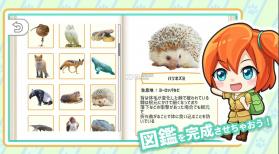 问答动物图鉴 v1.01 免费版 截图