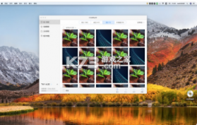 华为hisuite v14.0.0.410 手机版(华为手机助手) 截图
