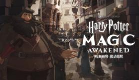 哈利波特魔法觉醒 v1.20.217080 游戏下载安装 截图