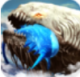 愤怒的鲲鲲手游v2.0.31