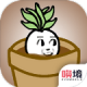 一个萝卜一个盆游戏v1.00.14