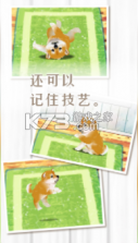 养育柴犬的治愈 v2.6 破解版 截图