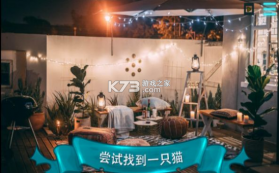 寻找猫2 v1.0 游戏 截图