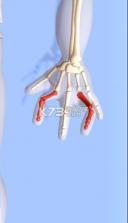 正骨老中医 v1.0.1 游戏 截图