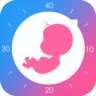 妈妈网孕育 v14.4.6 app