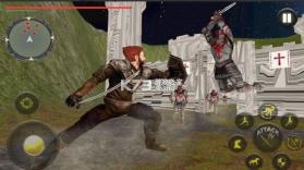 奥斯曼帝国之道 v1 游戏 截图