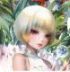 贝斯特里亚战记安卓版手游v1.2.0