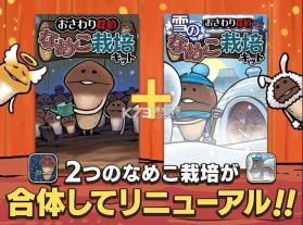 元祖菇菇栽培研究室 v1.3.0 中文版 截图