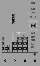 俄罗斯方块黑白版 v1.1 安卓版 截图