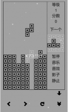 俄罗斯方块黑白版 v1.1 安卓版 截图