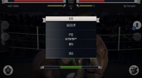 真实拳击 v2.11.0 游戏下载 截图