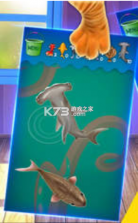 猫咪想捉鱼peppy cat v1.0 游戏 截图