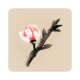 冬蜃楼安卓版v1.0.4