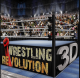 摔跤革命3d破解版游戏v1.712