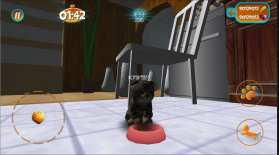 cat simulator v2.1.1 破解版 截图