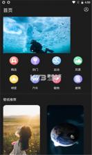 小耳朵壁纸 v1.1 app手机版 截图