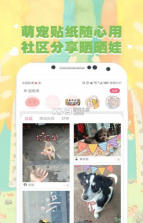 猫语狗语翻译器 v2.0.52 免费版 截图