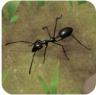蚂蚁帝国模拟器 v1.0.1 破解版