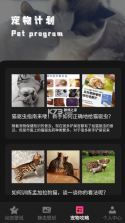 猫咪壁纸 v1.1 app 截图