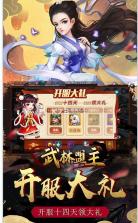 武林盟主 v1.0.0  无限寻宝版 截图