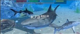 终极鲨鱼攻击3D v1.0.3 游戏 截图