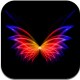 飞花动态壁纸app安卓版v3.3.0