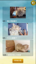 猫的一生重启模拟器 v230 游戏 截图