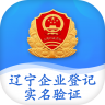 辽宁企业登记实名验证 v1.8 app官方版