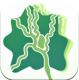 成都新津app安卓版v2.0.1
