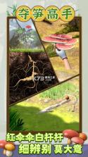 夺笋高手 v1.5.4 游戏 截图