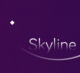 skyline模拟器appv0.0.3-2513