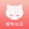 猫咪社区 v5.9.9 app