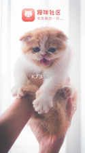 猫咪社区 v5.9.9 app 截图