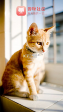 猫咪社区 v5.9.9 app 截图