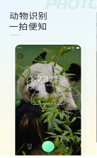 智能拍照识物 v1.3.1 下载 截图