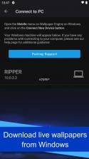 壁纸引擎 v3.0.0 app 截图