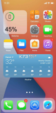 iphone13模拟器 v8.4.5 安卓版永久 截图