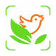 动植物识别appv1.1