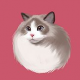 壁纸库app下载v1.0.1