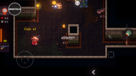 地牢vs枪手 v2273147 破解版内置菜单 截图