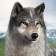 狼族崛起游戏v1.0.38