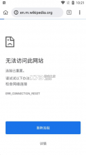 Kiwi浏览器 v124.0.6327.4 中文官方版 截图