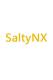 SaltyNX插件下载v0.7.3