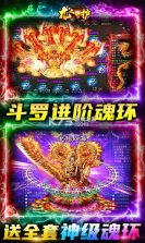 龙之守护 v1.0.2 游戏 截图