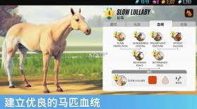 家族传奇赛马 v1.57.2 游戏 截图