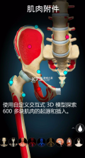 Anatomy Learning v2.1.381 下载 截图