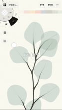 concepts v2024.06.1 画画软件(概念画板) 截图