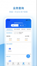 湖南税务服务平台 v2.4.11 官方版 截图